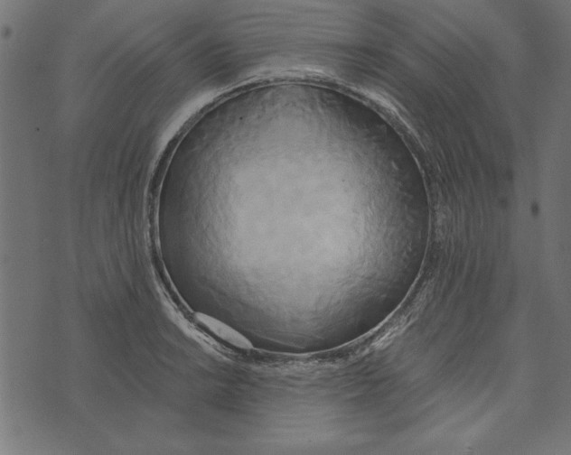 X0000072931038200608181311