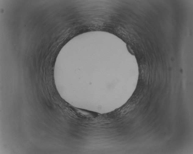X0000072931057200608181310