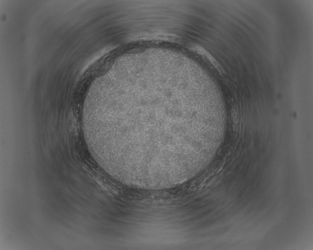 X0000072931064200608181310
