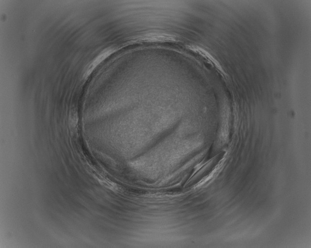 X0000072931065200608181310