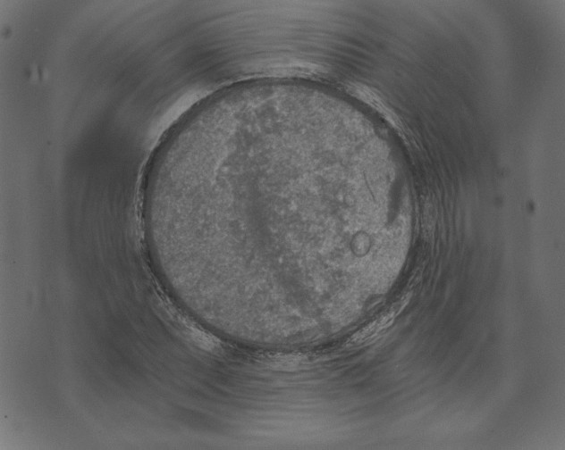 X0000072931071200608181310