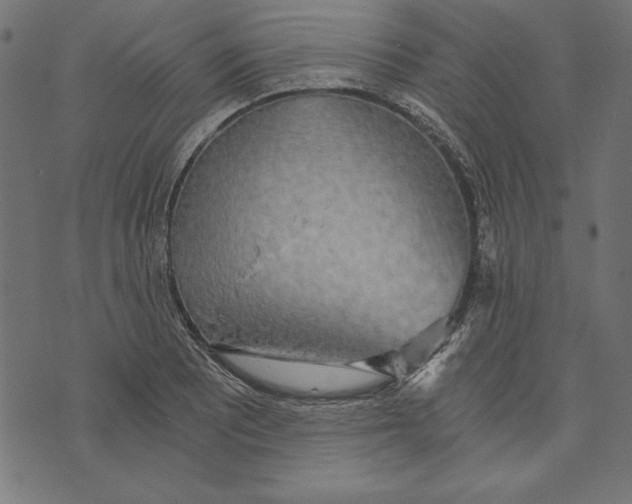 X0000072931081200608181310
