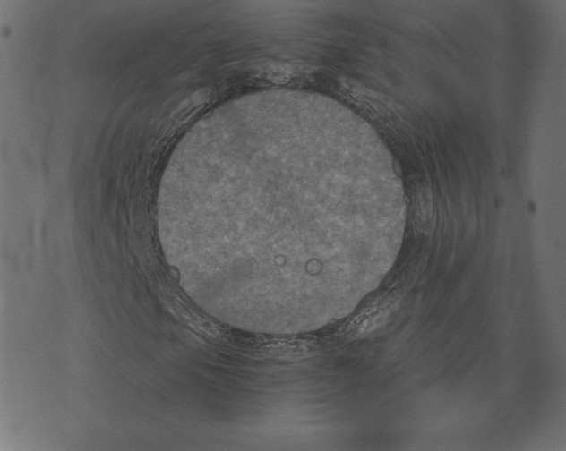 X0000072931105200608181309