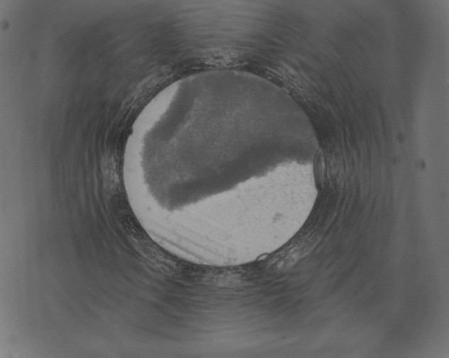 X0000072931106200608181309