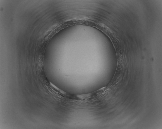 X0000072931110200608181309