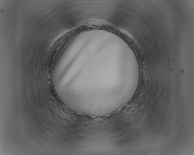 X0000072931112200608181309