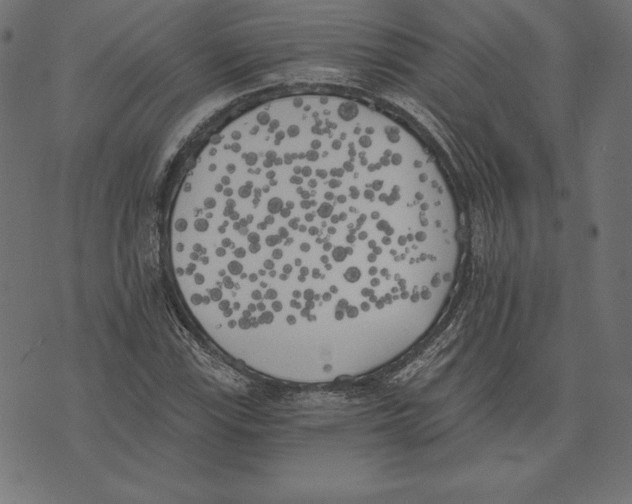 X0000072931115200608181309
