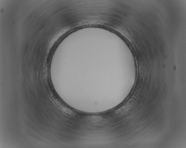 X0000072931119200608181309