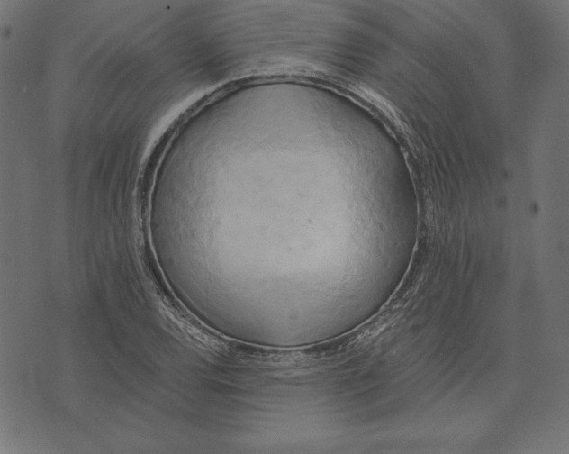 X0000072931120200608181309