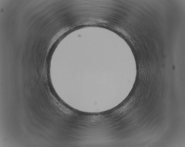 X0000072931122200608181309