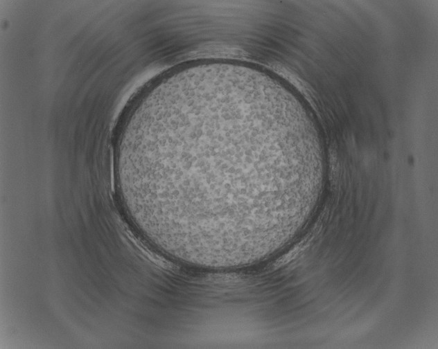 X0000072931123200608181309