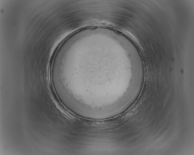 X0000072931128200608181309