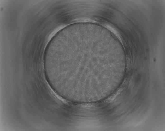 X0000072931141200608181309