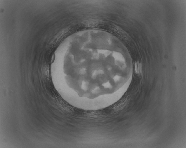 X0000072931155200608181309