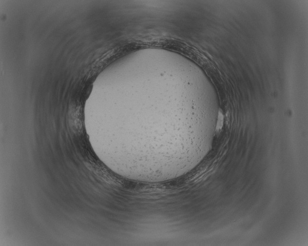 X0000072931156200608181309