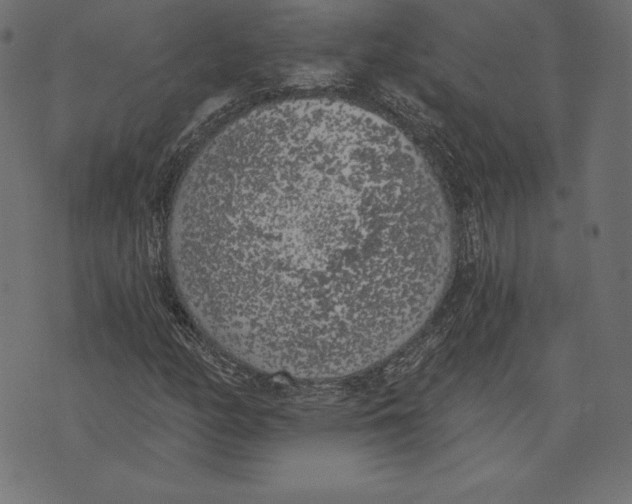X0000072931158200608181309
