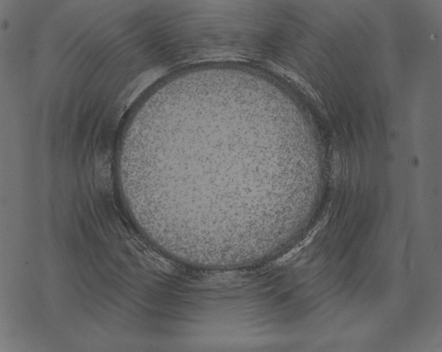 X0000072931162200608181309