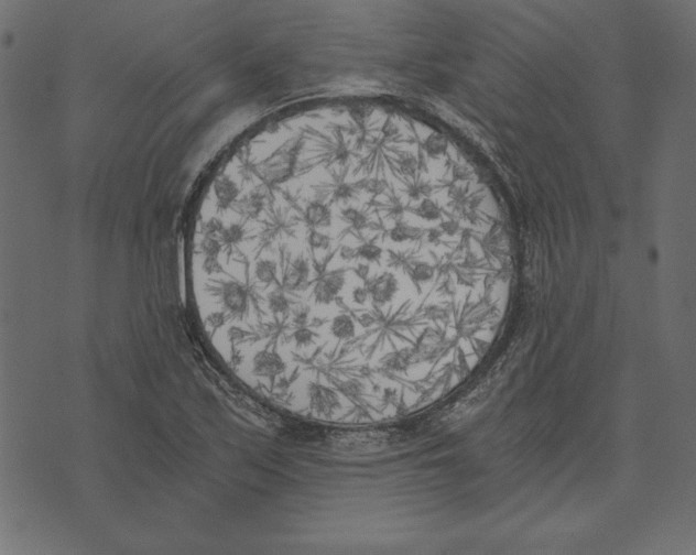 X0000072931171200608181308