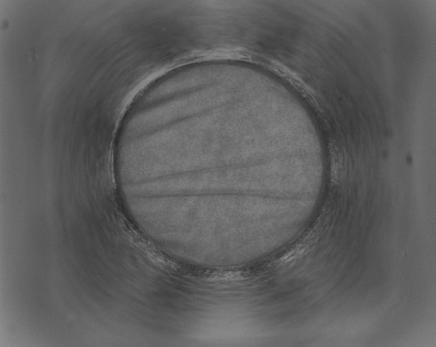 X0000072931174200608181308