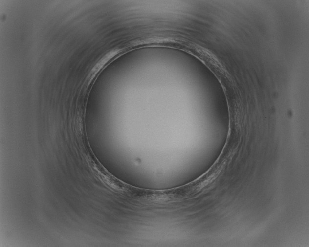X0000072931177200608181308
