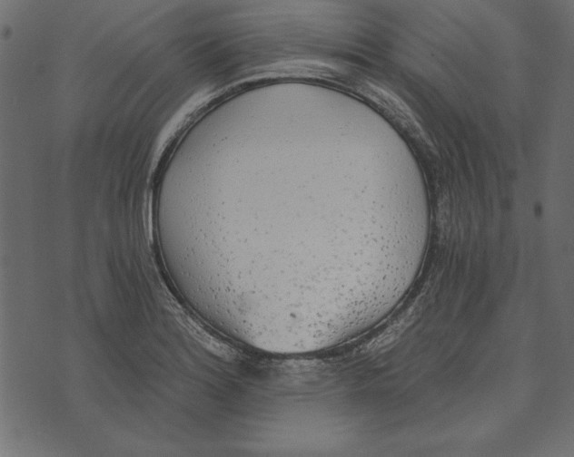X0000072931180200608181308