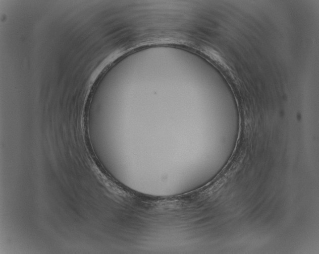 X0000072931181200608181308