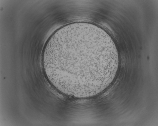 X0000072931182200608181308