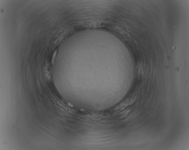 X0000072931202200608181307