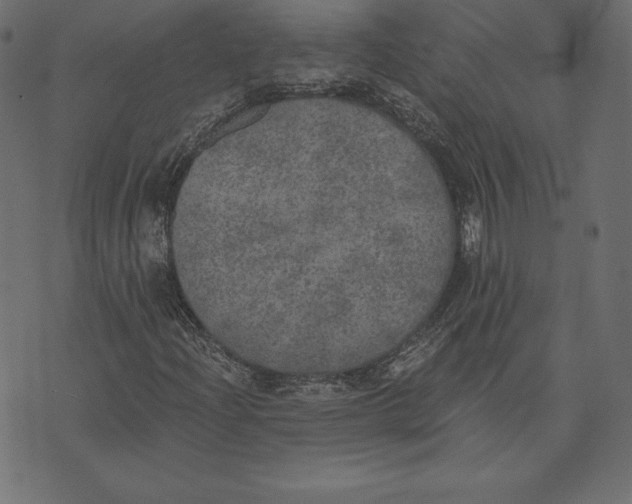 X0000072931204200608181307