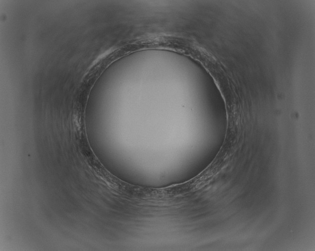 X0000072931206200608181307