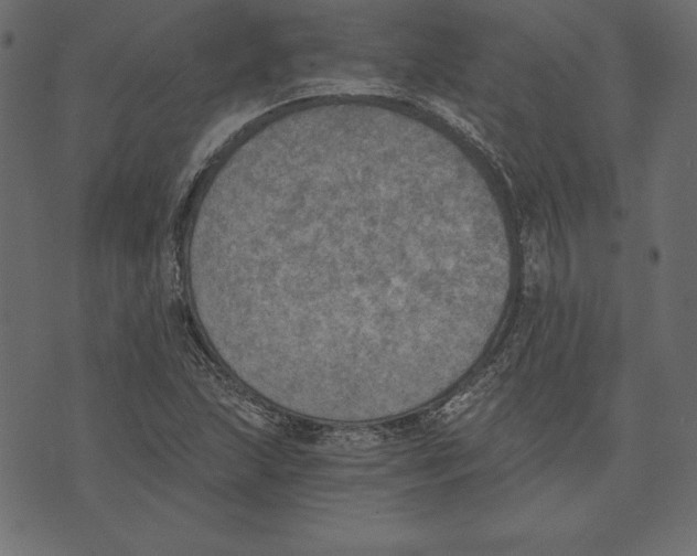 X0000072931215200608181307
