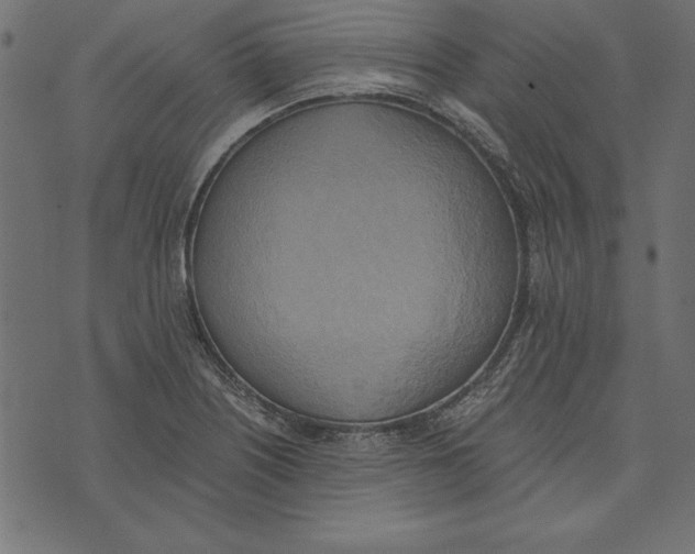 X0000072931226200608181308