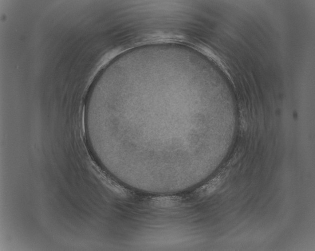 X0000072931227200608181308