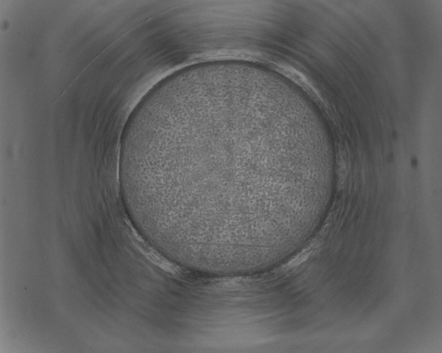 X0000072931228200608181308