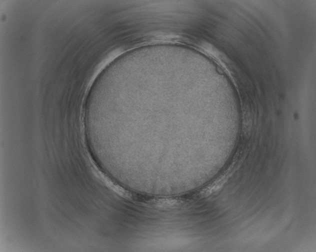 X0000072931235200608181308