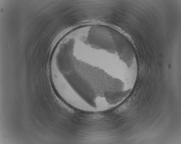 X0000072931239200608181308