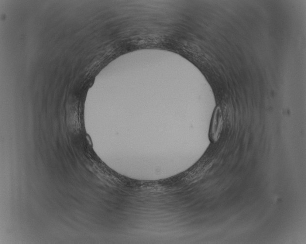 X0000072931250200608181307