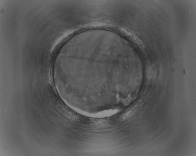 X0000072931262200608181307