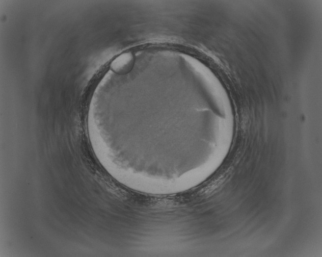 X0000072931263200608181307