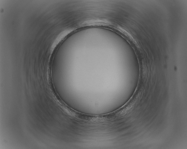 X0000072931277200608181307