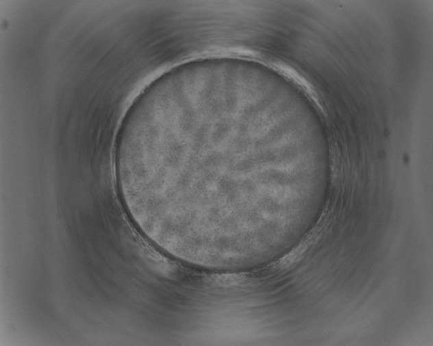 X0000072931280200608181307