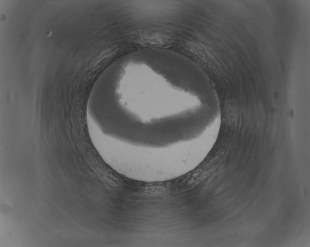 X0000072931297200608181306