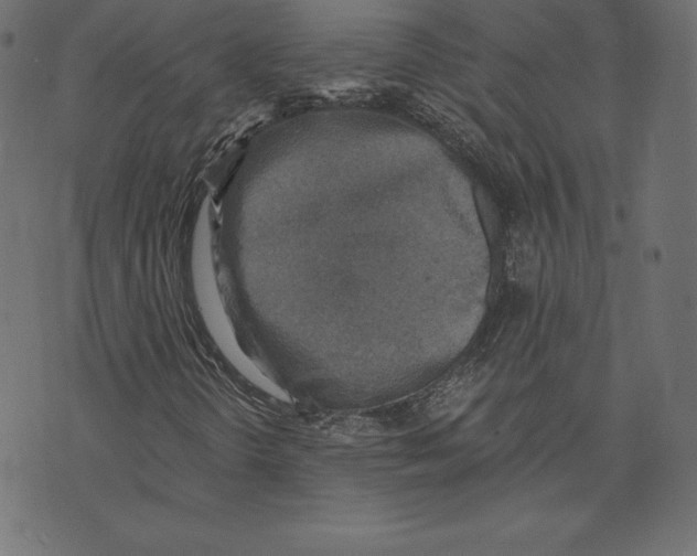 X0000072931298200608181306