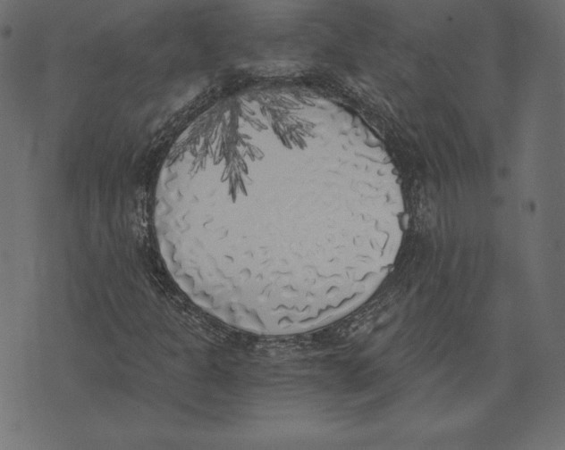 X0000072931301200608181306