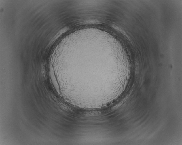 X0000072931305200608181306