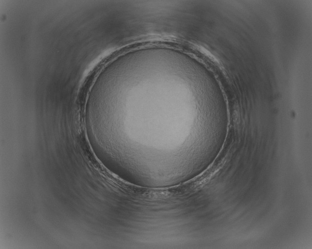 X0000072931310200608181306