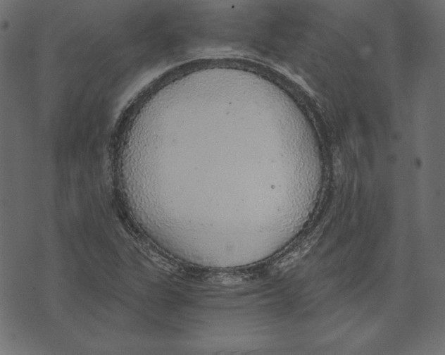 X0000072931311200608181306