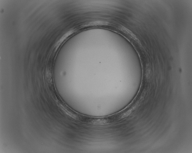 X0000072931321200608181306