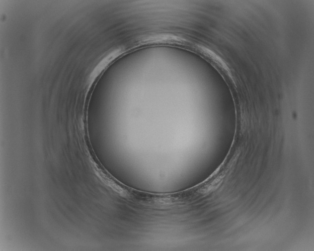 X0000072931330200608181306