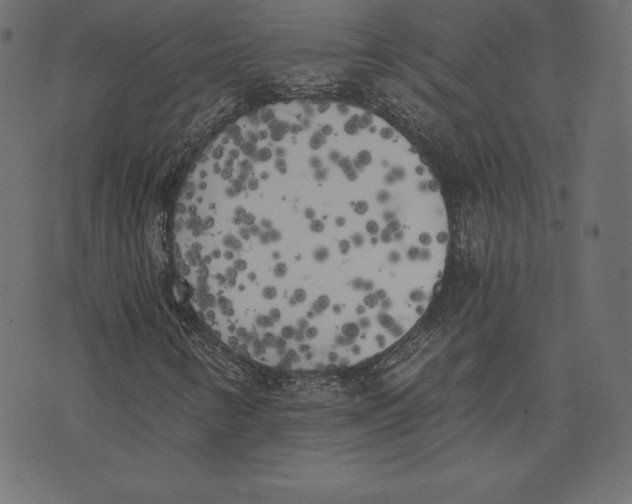 X0000072931346200608181306